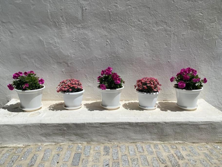 Casa Galeria La Retinta Villa Vejer de la Frontera Ngoại thất bức ảnh